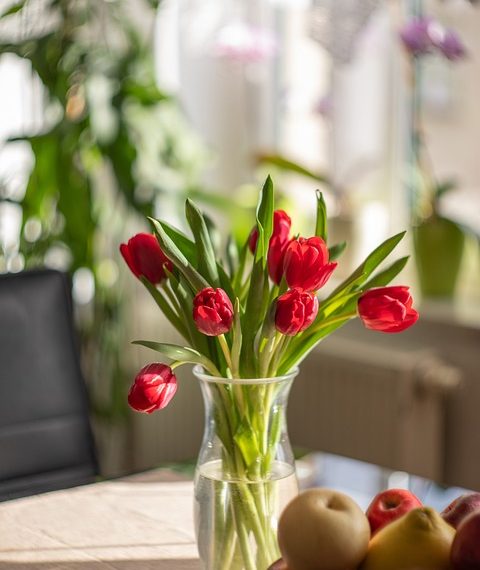 tulips 6995691 960 720jpg