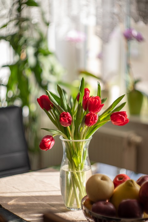 tulips 6995691 960 720jpg