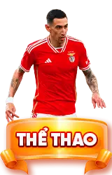 thể thao