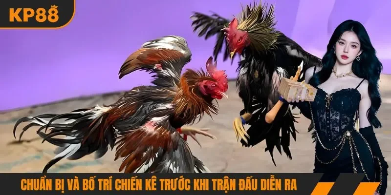 Chuẩn bị và bố trí chiến kê trước khi trận đấu diễn ra